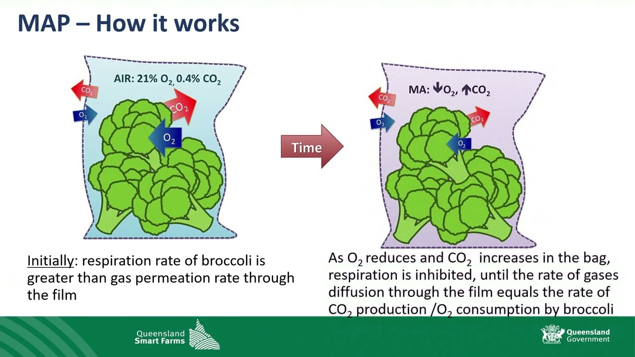 Modified atmosphere packaging and other add-ons to temperature management, Roberto Marques, DAF