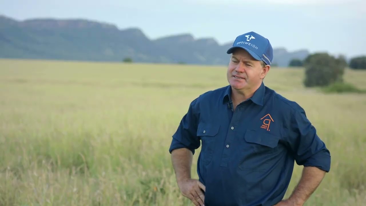 Managing pasture dieback at Hillyvale, Arcadia Valley