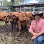 Indentification of pasture dieback