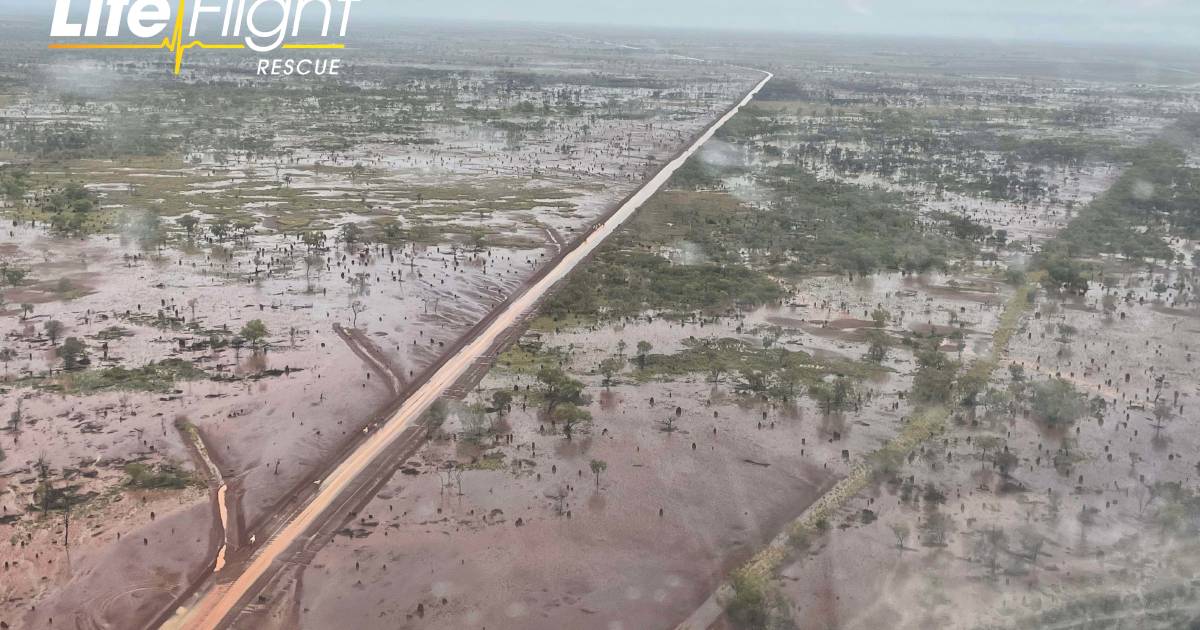 Croc attacks, searches all part of the year for LifeFlight Mount Isa