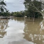 Billabong kids have farming in their sights