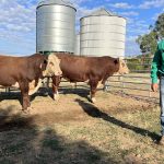 Richmond Shire takes legal action against truck driver after council road damaged after rain