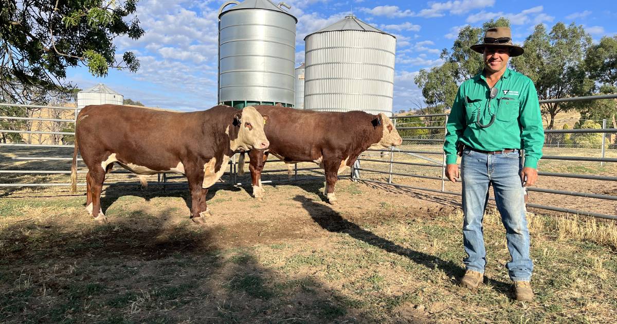 Stock & Land Beef Week's spectators head to north-east Victoria for day four