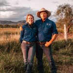 The Bullock Index: Cattle prices versus school fees, diesel, barbed wire and utes over time