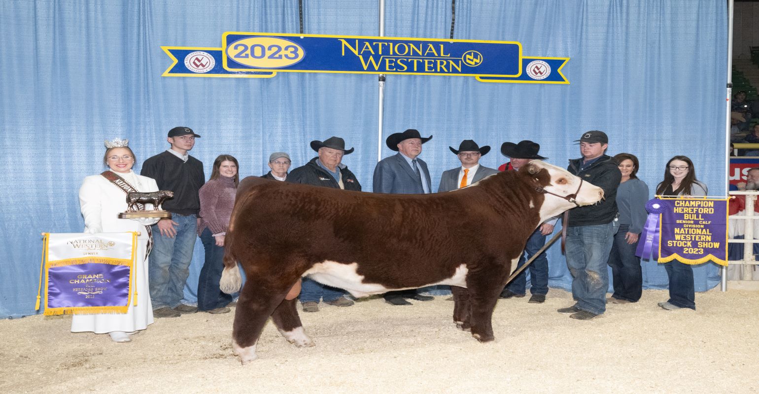 Hereford champions named at the 2023 National Western Stock Show