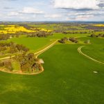 Alpaca shot and killed on Riverina property