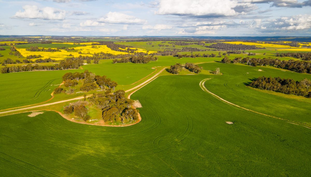 WA’s Cherylton Farms sells for more than $100M