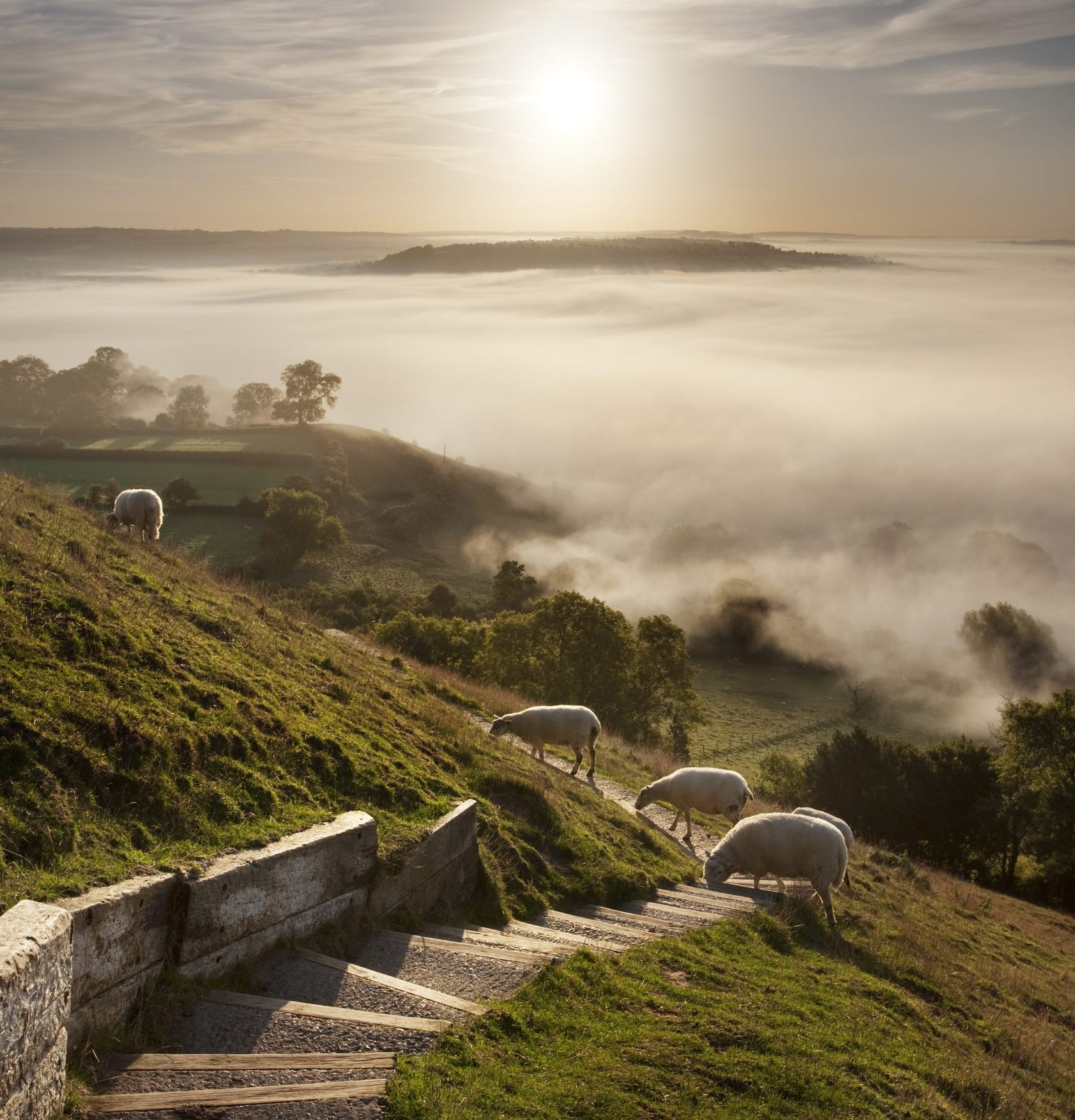 Glastonbury, Somerset: The place where the Holy Grail came to Britain