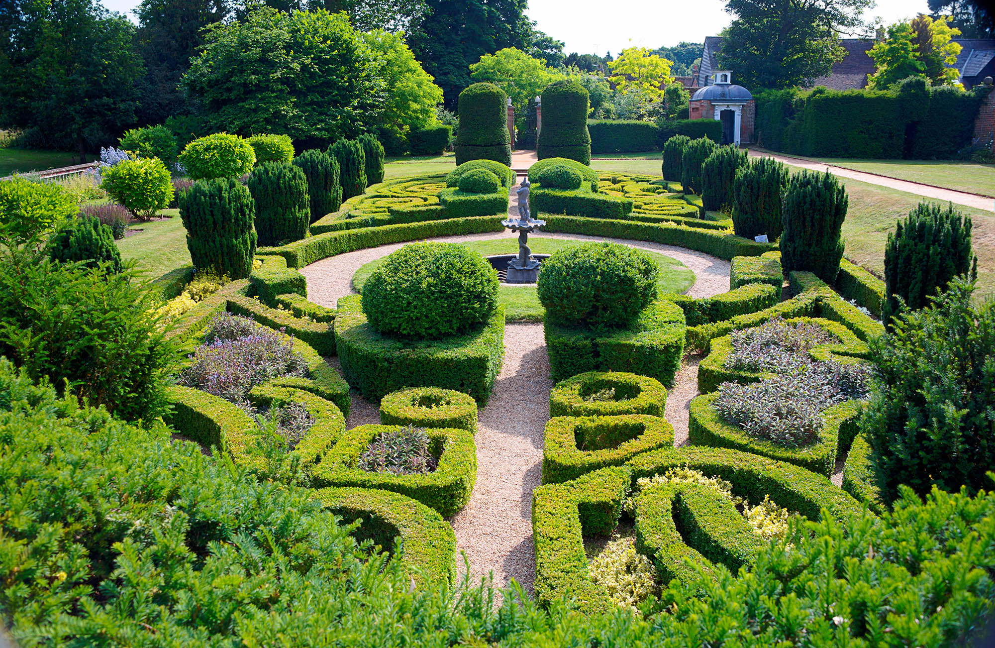 Topiary: The ancient art of transforming nature into cubes, pyramids and peacocks