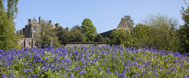 Battle, East Sussex: The site of the battle ‘that permanently changed the course of history in England and beyond’