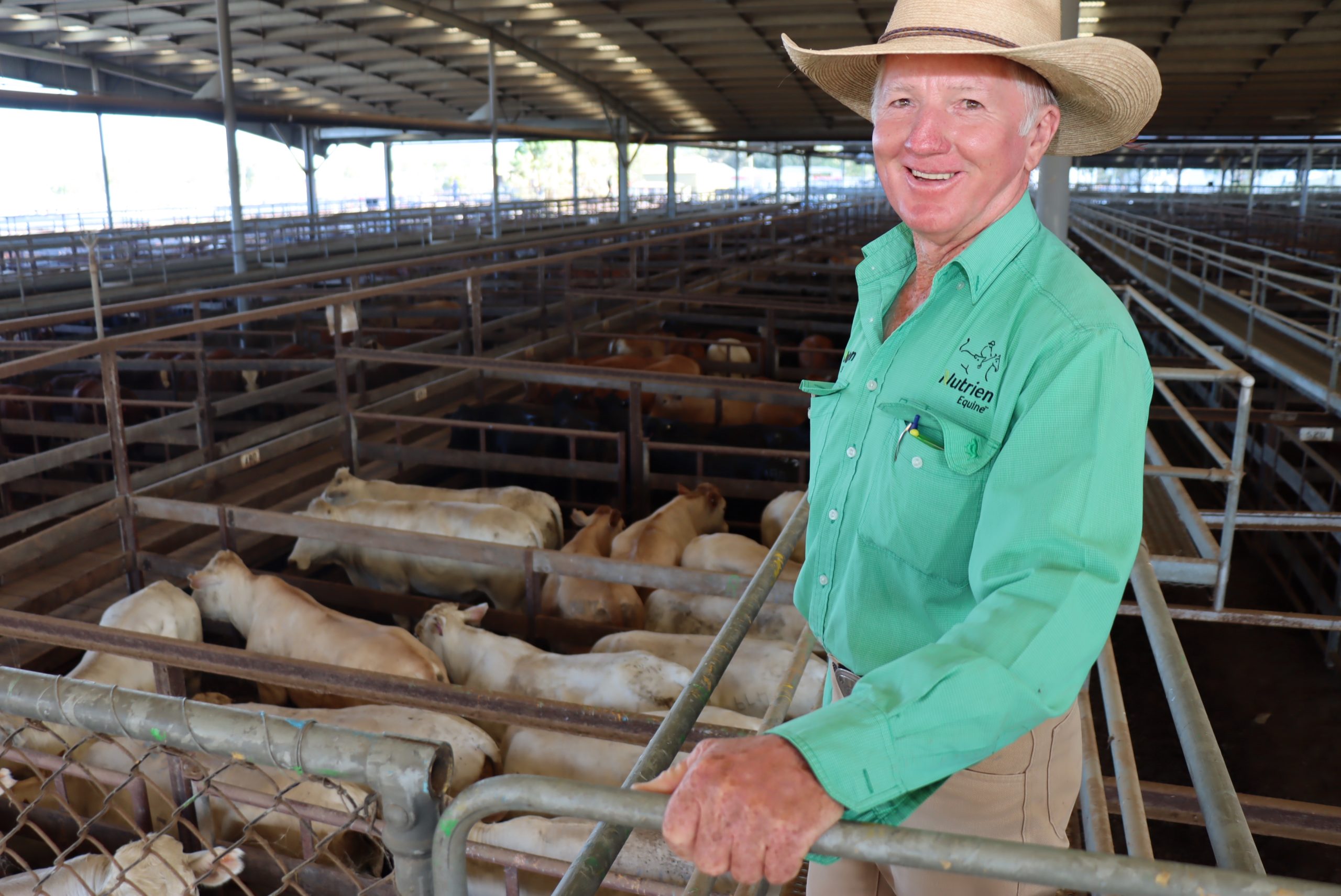 Dalby sale 18 Jan 2023: Yearlings lift by 20-30c + PICS