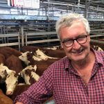 Vic Weaner sales: Wangaratta – Beef Central