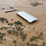 GRDC boss Nigel Hart reflects on 2022 grain season | Farm Weekly