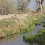 Next step in Cattlemen’s Heritage Beef facility complete