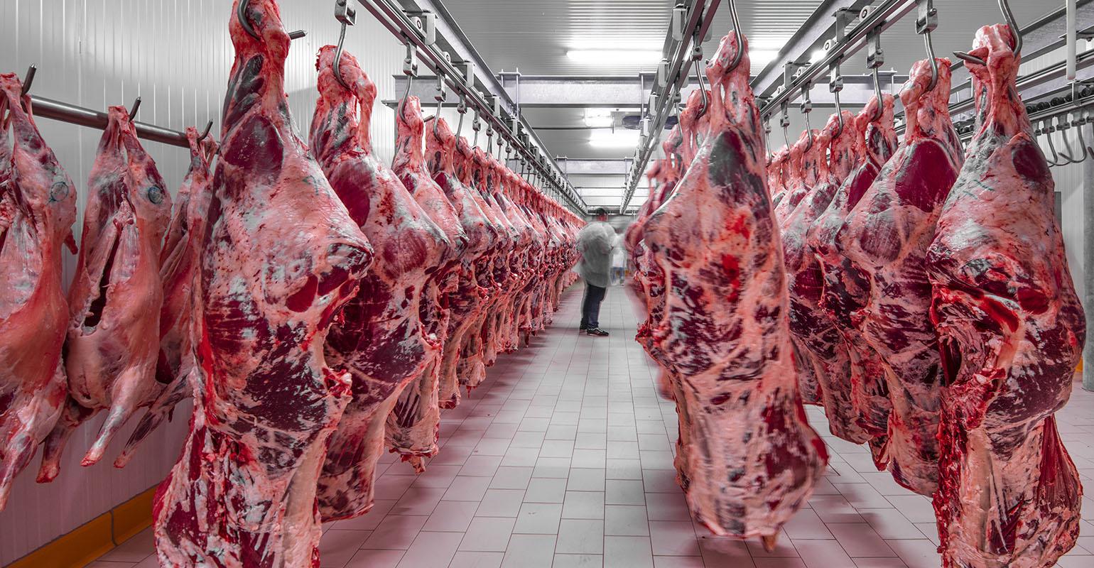 USDA proposes revisions to red meat instrument grading procedures