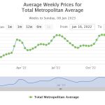 New year feeder cattle prices show further sharp decline