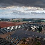 Lotfeeders and restockers go head to head at Ray White Rural Dalby feeder and weaner sale