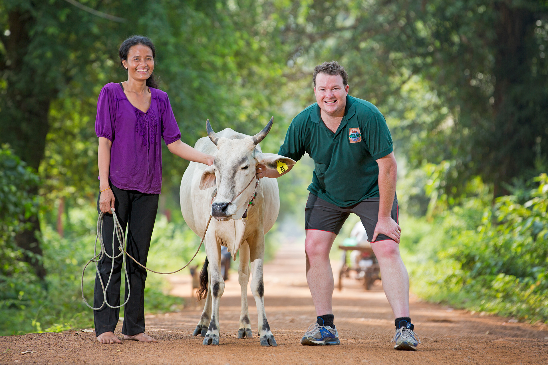 Small shipment of cattle heading for Cambodian charity