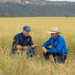 Long-road to recover from 2022 floods as Riverina caravan park reopens to the public | The Land