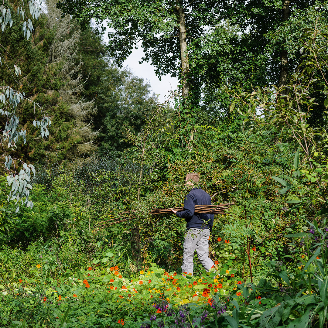 The forest garden in Devon ‘with an air of Willy Wonka’s chocolate factory’