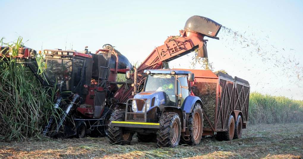 Mackay Sugar confident future mill investment will address key performance issues ahead of 2023 sugar cane season | North Queensland Register