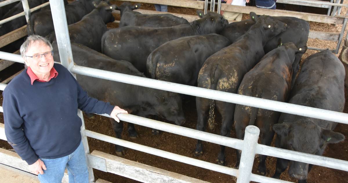 Colac agents and vendors pleased with feature weaner, despite lower weights