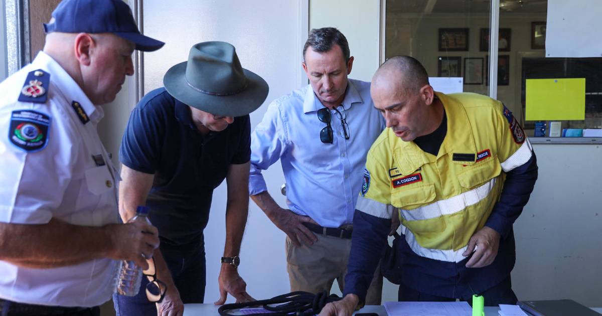 Stock losses from WA floods could be 'in the thousands'