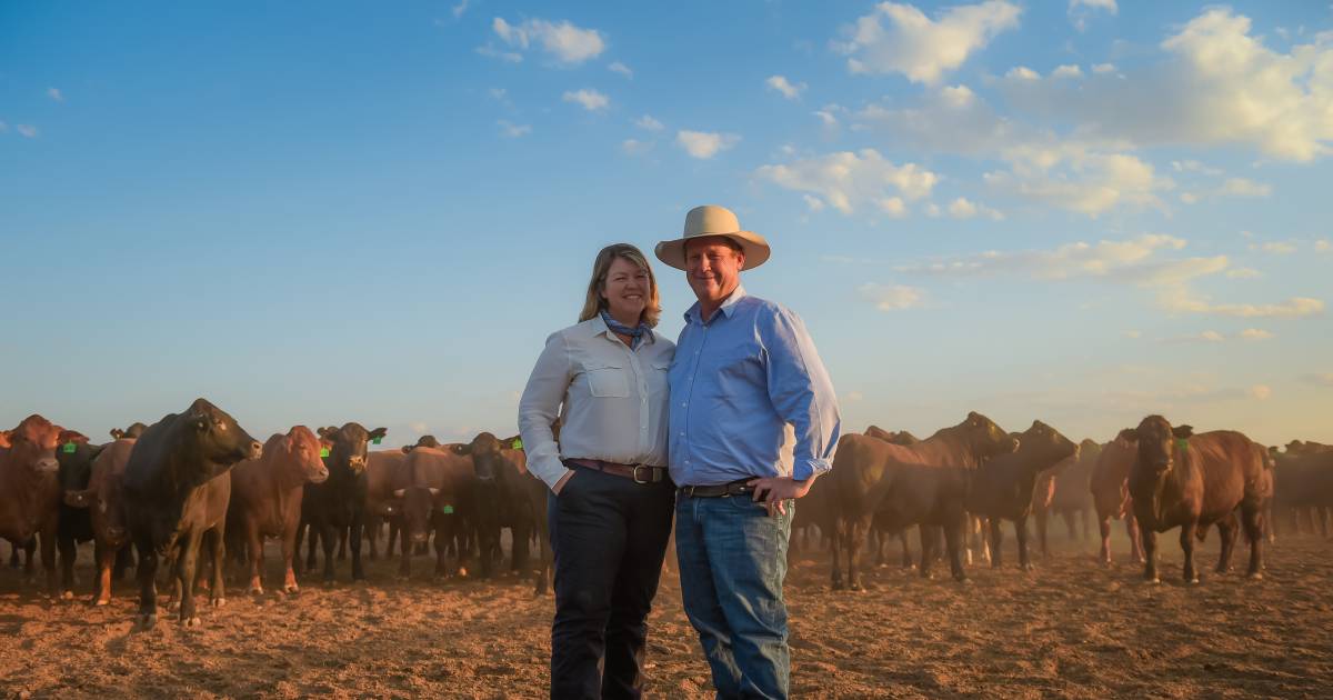 Major EU-exporter Angus Pastoral questions deforestation rules | Queensland Country Life