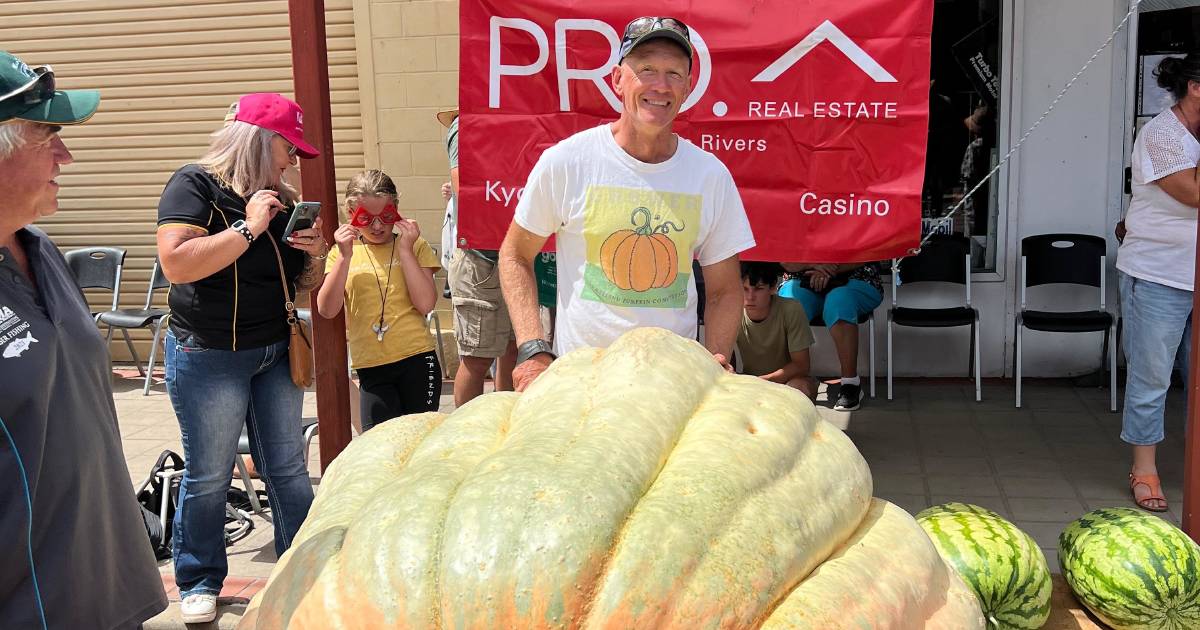 Giant pumpkin growers weigh-in for biggest cucurbit trophy at Kyogle as mentor of the sport claims victory – again! | The Land