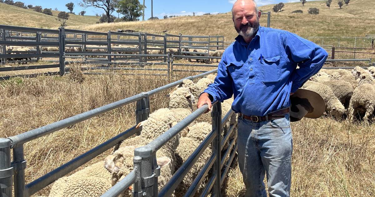 Clients keep Jason Southwell up with the latest in sheep breeding | The Land