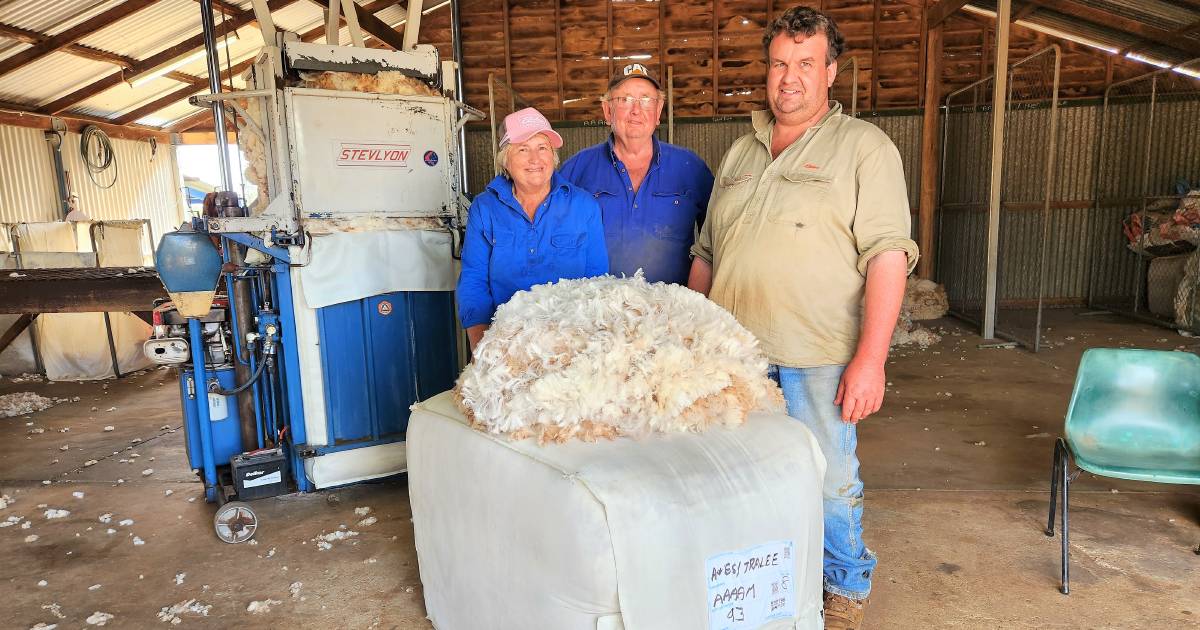 St George woolgrowers trialling eBale technology | Queensland Country Life