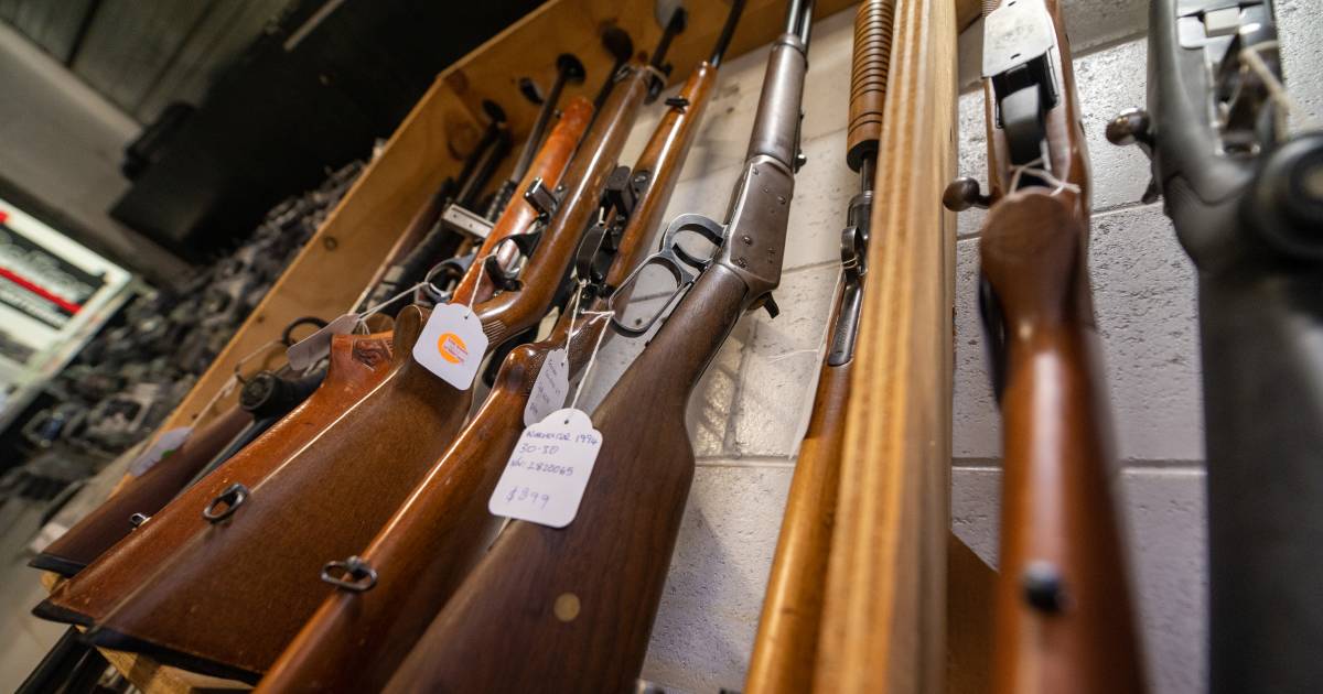 8-month wait for new firearm licence 'lacklustre'