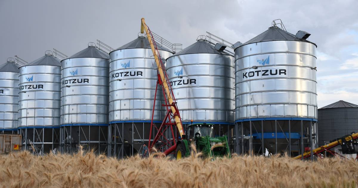 Ten GrainCorp sites see record receivals thanks to Queensland's bumper winter crop