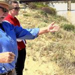 Restockers put floor in market at Carcoar