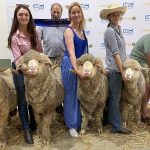 Springsure Working Horse Association clinics attract massive crowd despite rain | Queensland Country Life