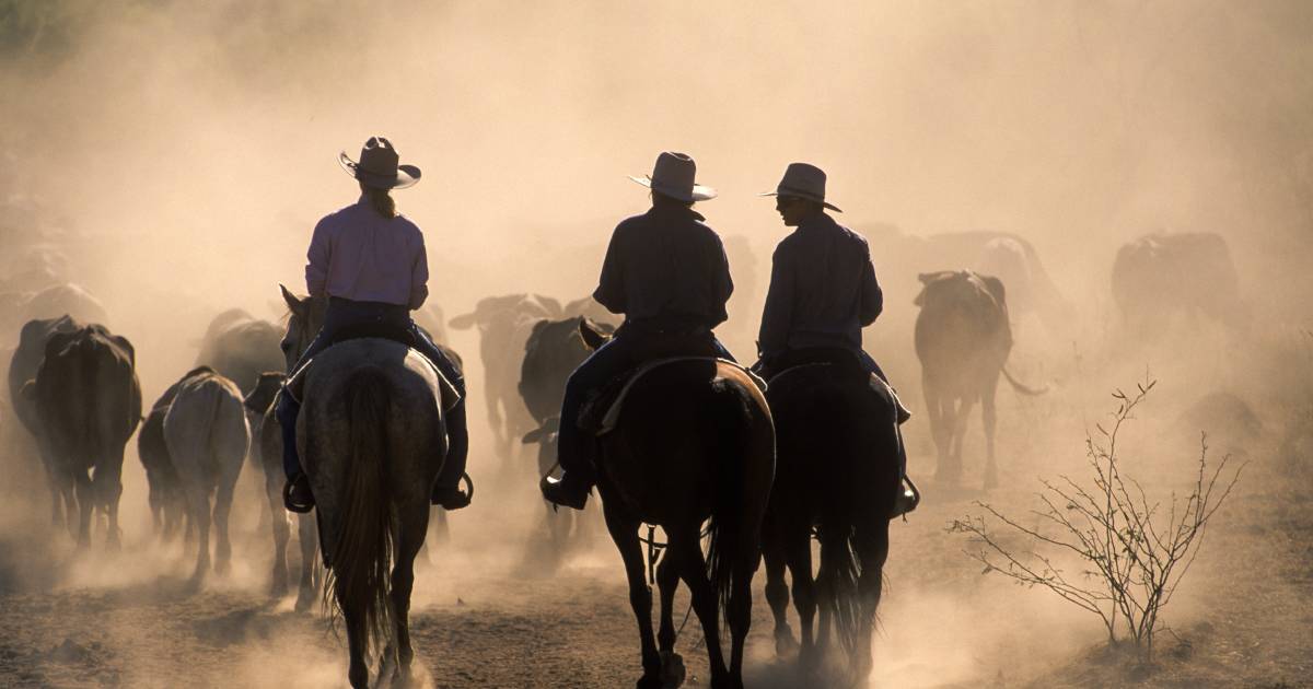 Beef tops the charts for unpaid family workers