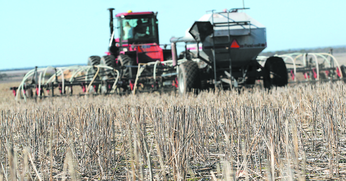 Draft plan released for future grain research