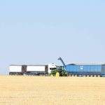 Grain loss at $300m