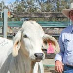 The flood along the Menindee Lakes is yet to peak as Water NSW continues daily 75,000 megalitres release | The Land