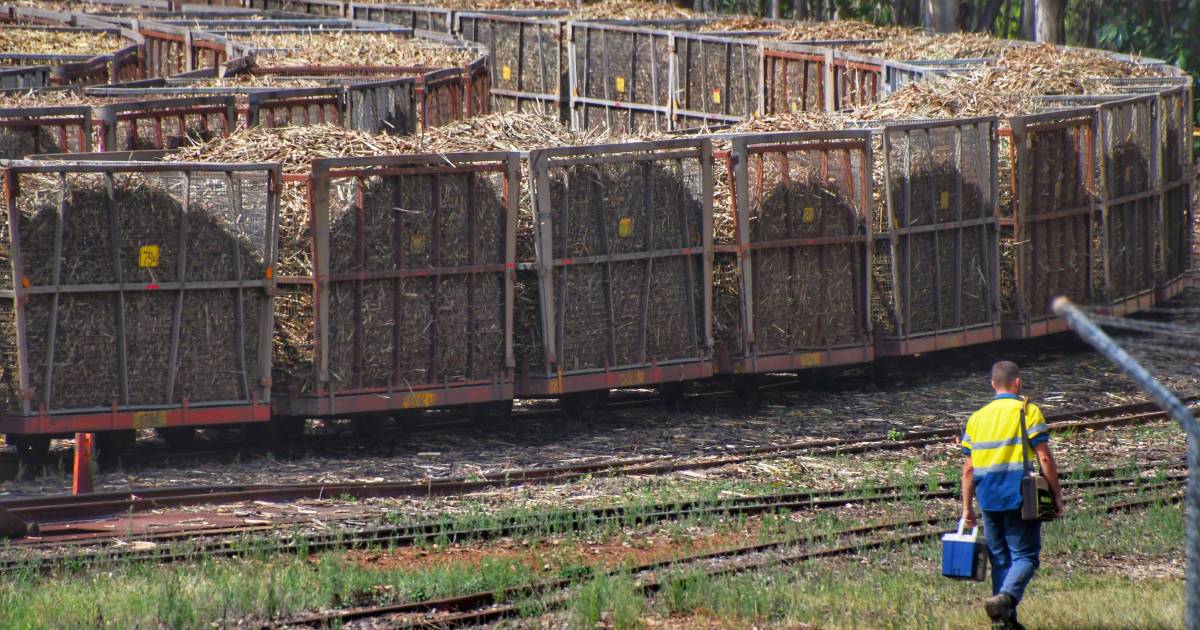 Last bin tipped on historic Isis cane crush | Queensland Country Life