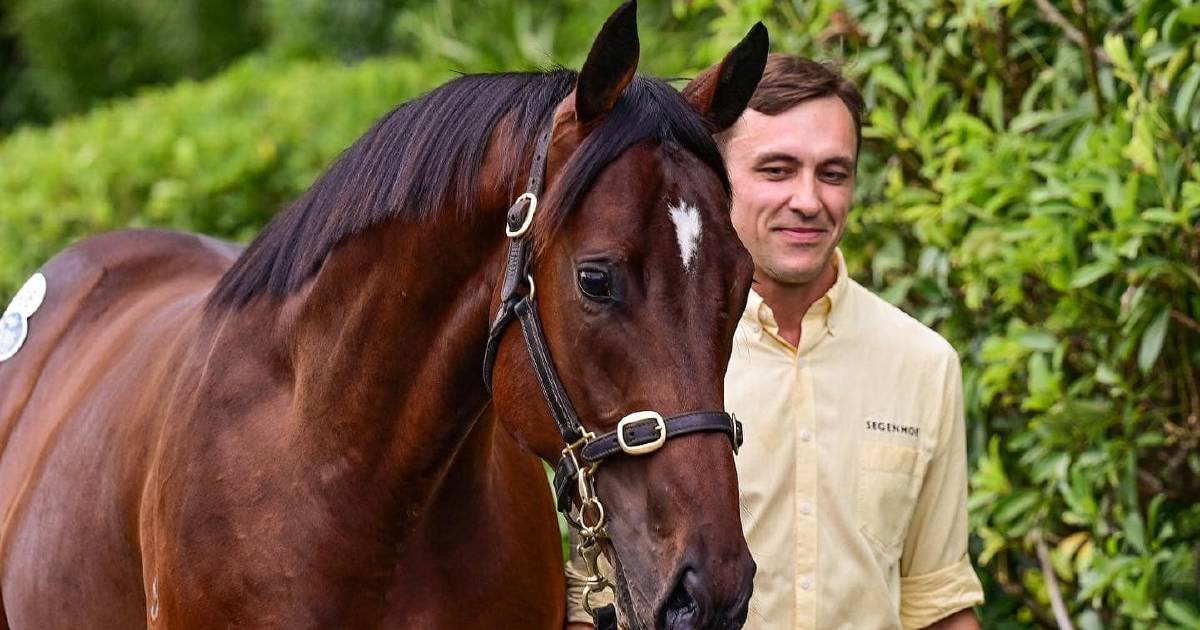 Super colt sells to Coolmore for Magic Millions record