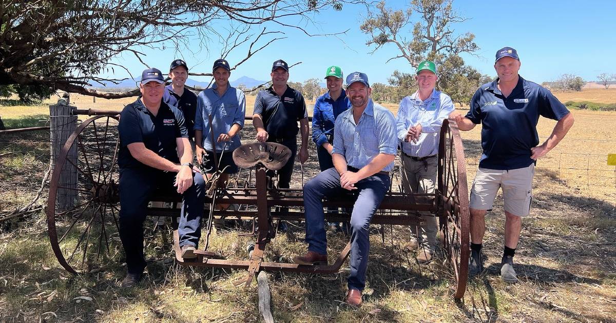 Youth Cattle Handlers Camp entries open | Farm Weekly