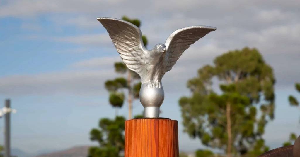 Kissing Point eagle theft video released | Video | North Queensland Register