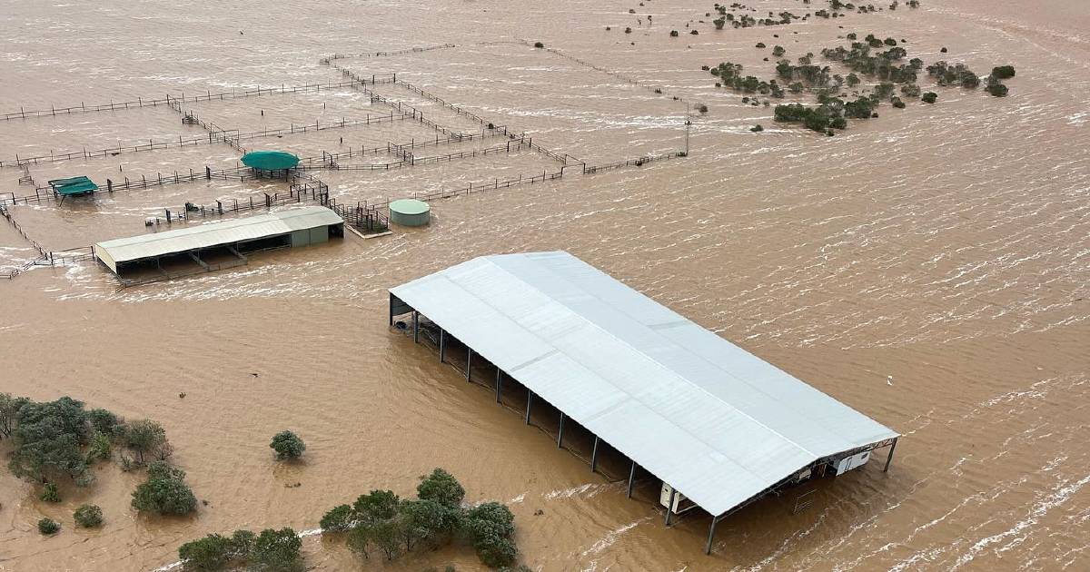 Floodwaters swallow most of Kalyeeda Station after rapid rise