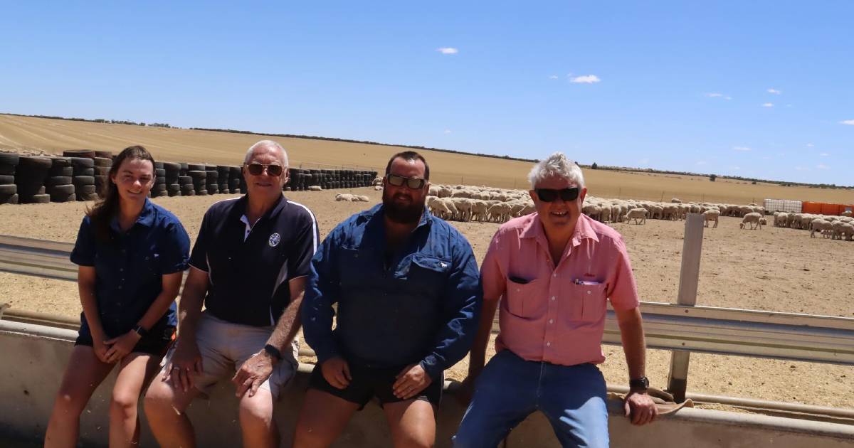 Wayne Radford retires from WAMMCO | Farm Weekly