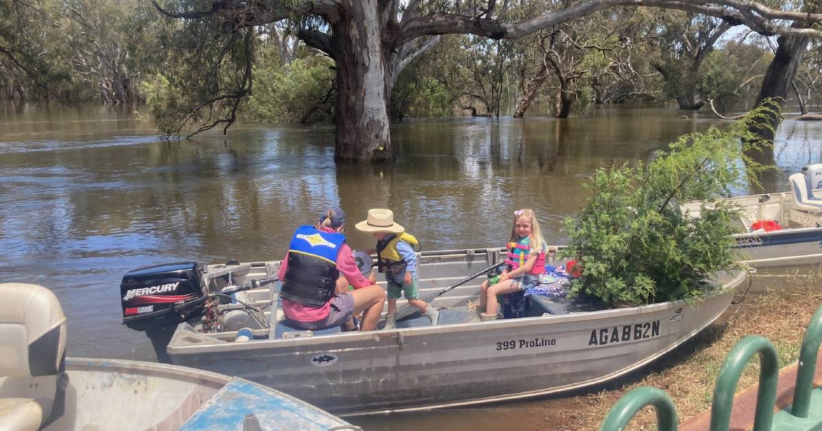 Willanthery farm turned into ‘marina’ as Lachlan river swelled during 2022 floods | The Land