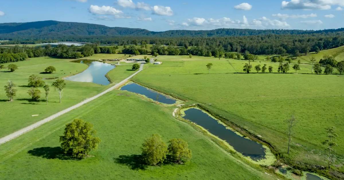 Impeccable cattle country a stone's throw from the beach | Video