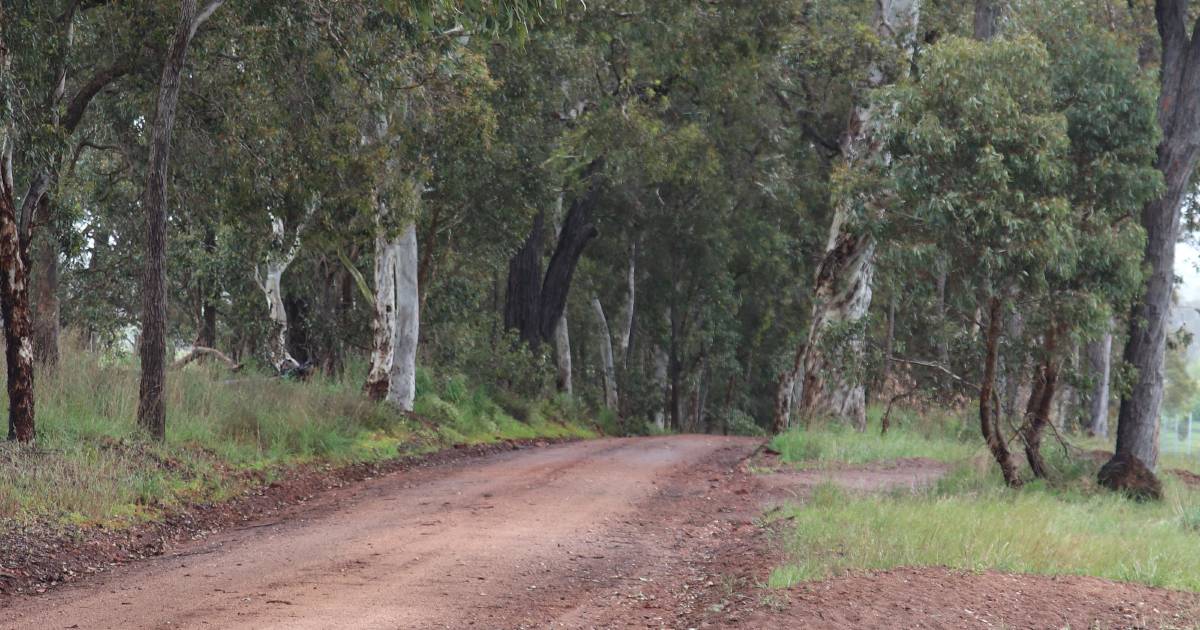 Cameras to detect drivers without seatbelts in rural WA | Farm Weekly