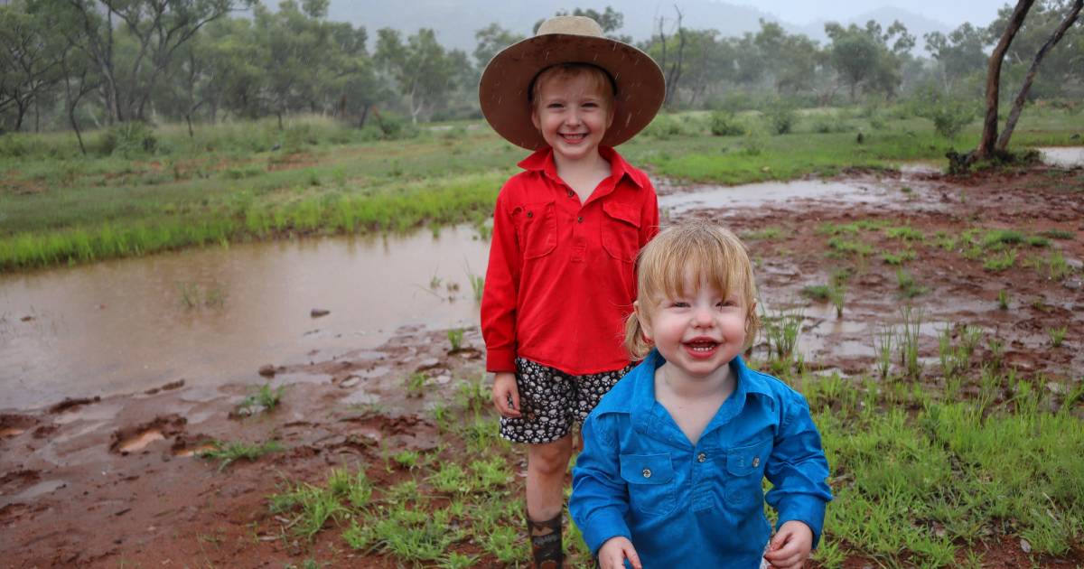 Rain totals for a wet year in Queensland | The North West Star