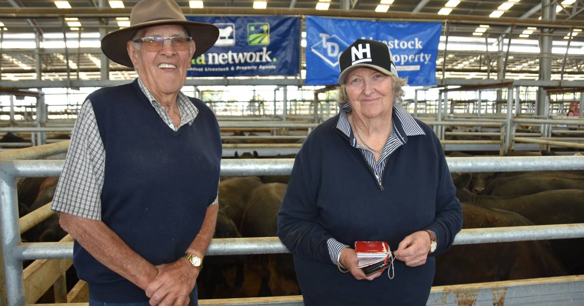 Rates soften again at first Naracoorte weaner sale for 2023